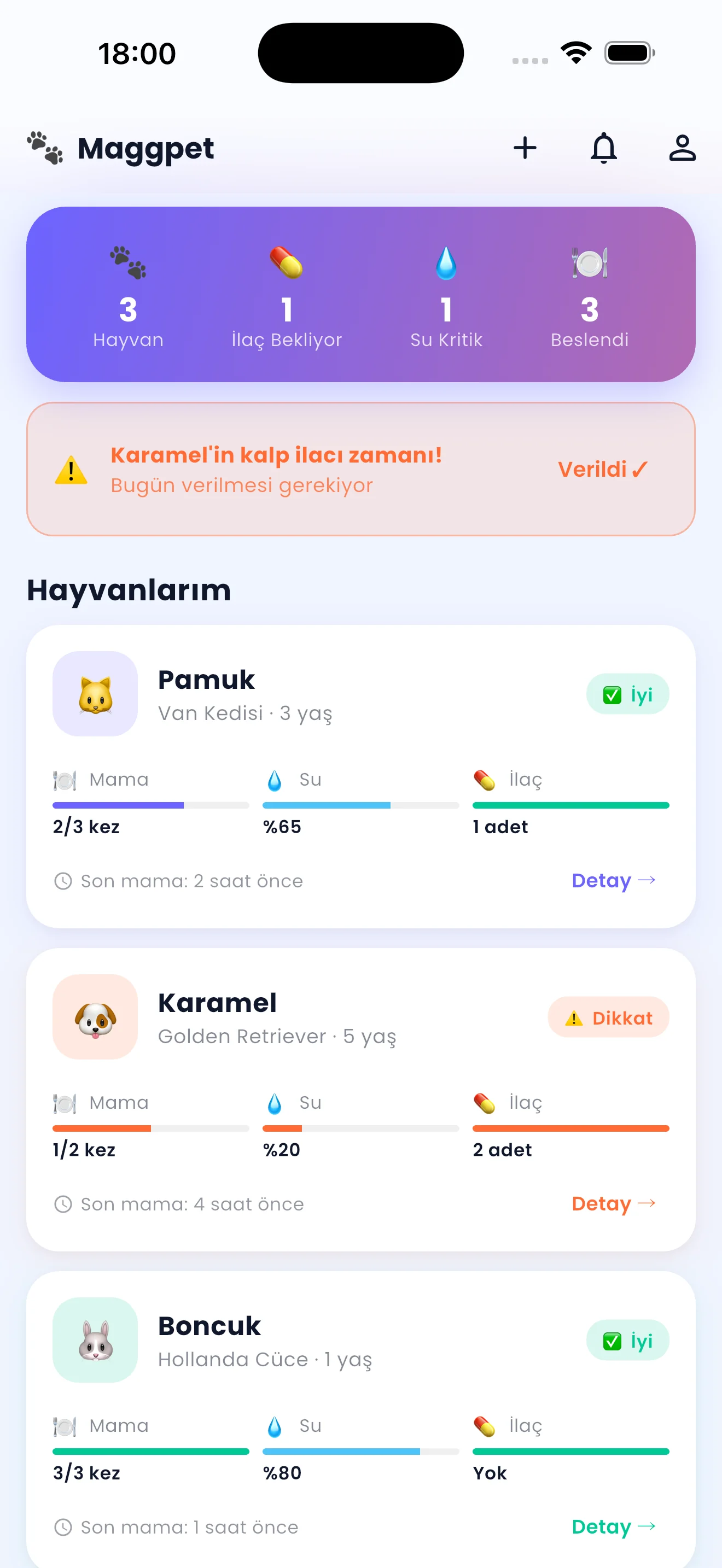 magg app ekran 4